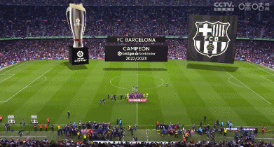 36岁中国金花张帅拿到本赛季第三冠!WTA排名升至第89位!锁定澳网正赛席位!